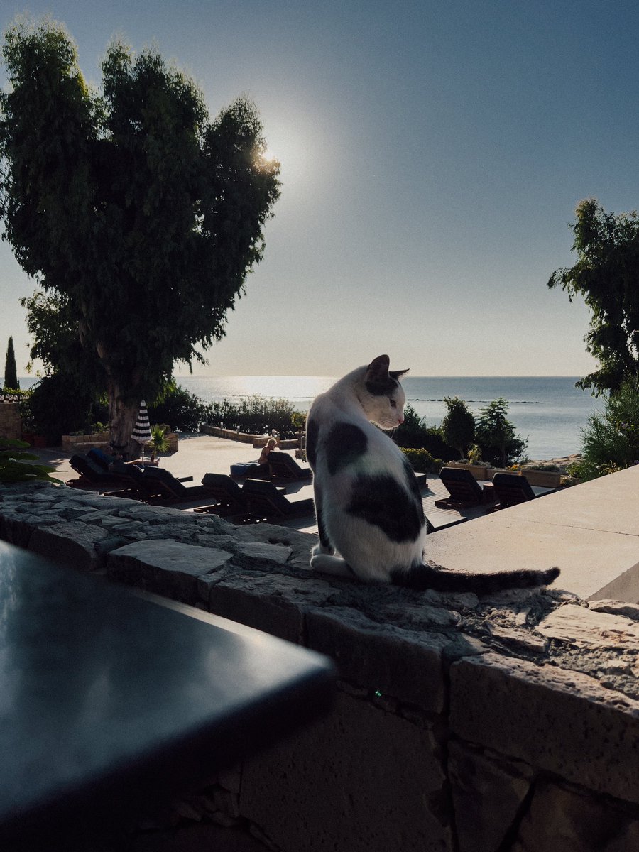 jpegsofnothing's tweet image. A little more of Cyprus