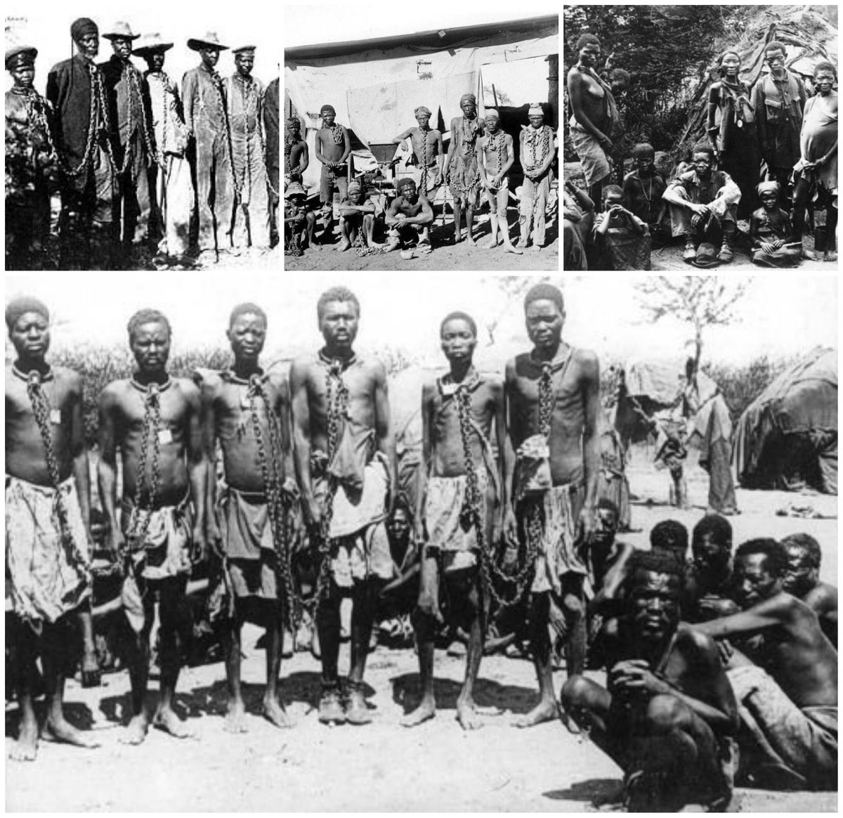 20th century's first genocide, was a concerted extermination of over 100,000 Heroro people by the Germans in today's Namibia. An additional 50,000 Herero were shipped off to Europe during World War I to fight. They never came back. Some images of captured Herero people getting