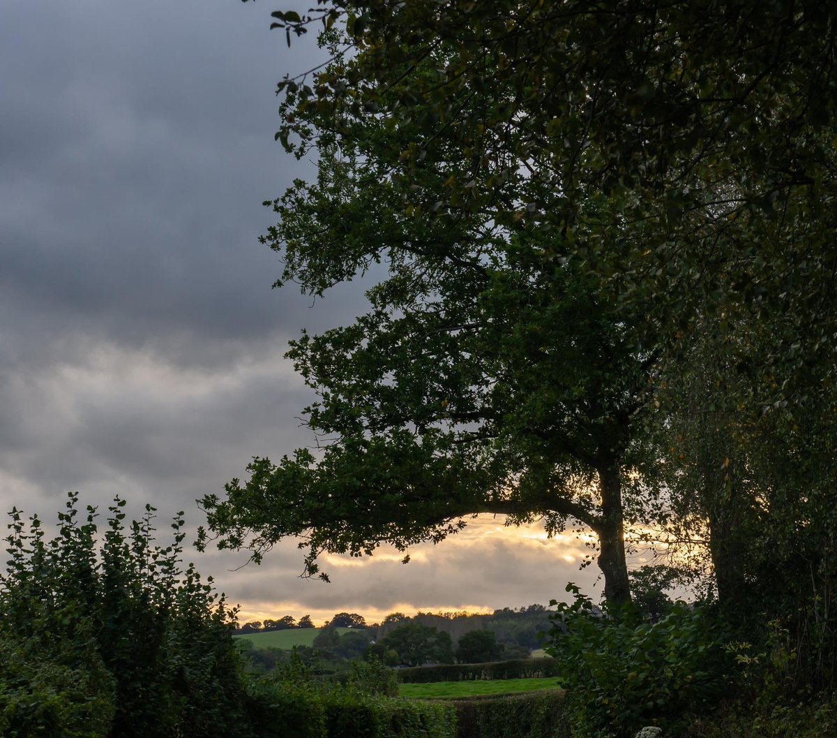 suedonovan's tweet photo. Autumn is my favourite season. Great restful time away this week and a chance to get out with my camera. https://t.co/jZ5JqizG9o