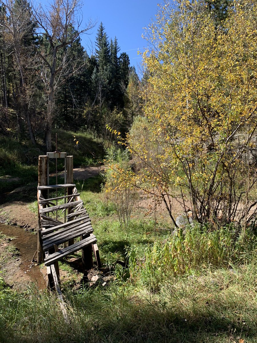jaydaukas's tweet photo. Past peak, but Colorado sure is pretty in the fall! https://t.co/yLHEViUxzu