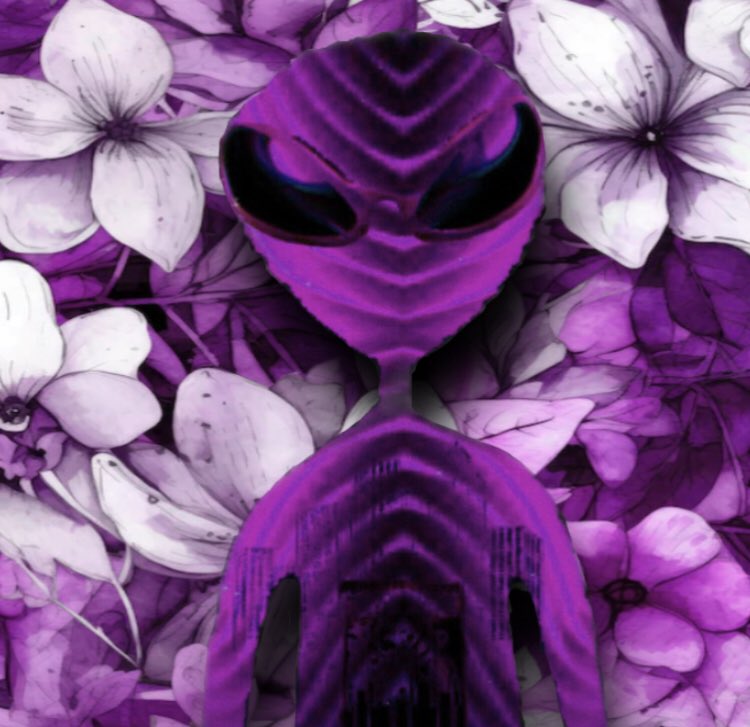 Reptilian & Skinerx NFT👽🛸 tweet media