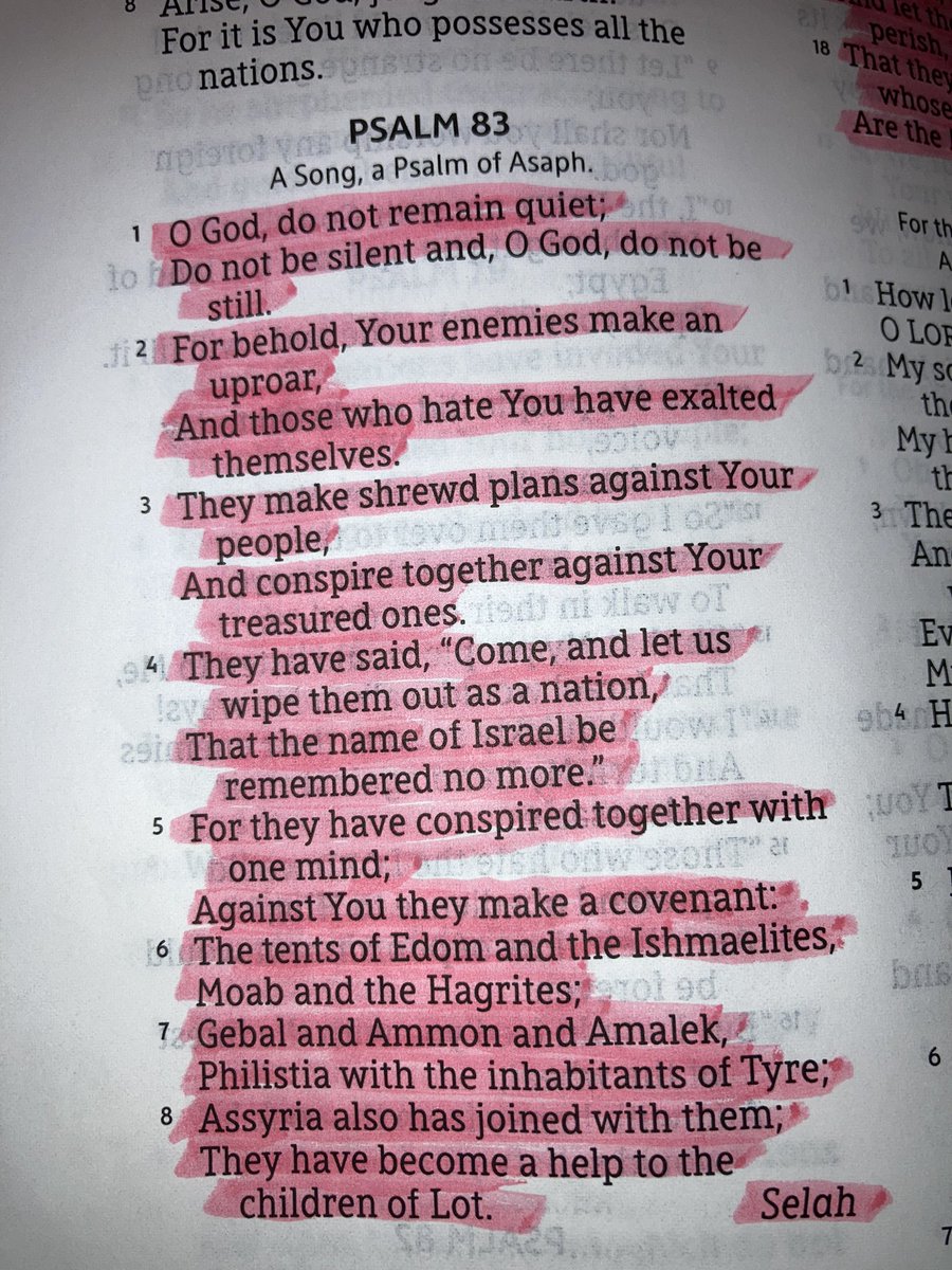 HomeisJax's tweet photo. @jengelmayer This Is Biblical, Ancient Even!

Possible Psalm 83 fulfillment. https://t.co/sRwQzkS85M