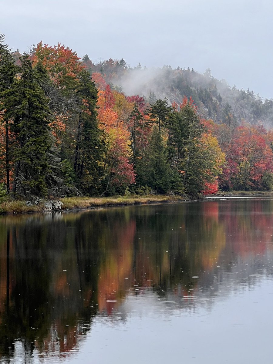 tamurray's tweet photo. #RainyDays #reflection #fog #adk #adirondacks #oldforge #fallcolor https://t.co/xXlYcqxFvz
