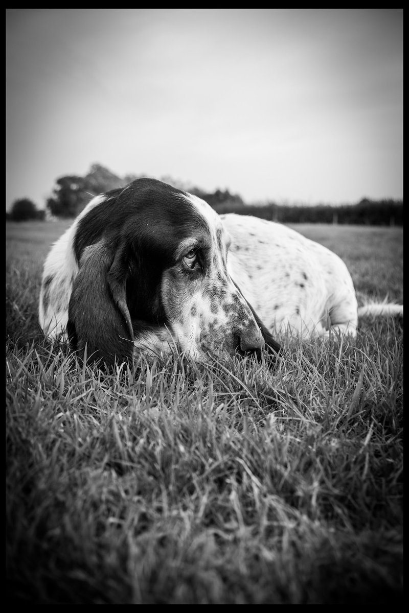 Phil Sledge tweet media