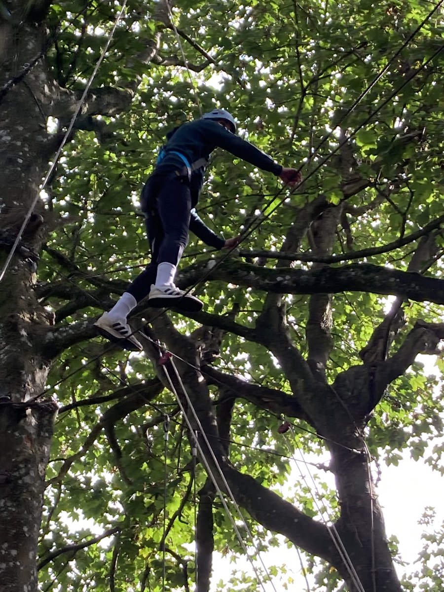 Trish Acton tweet media