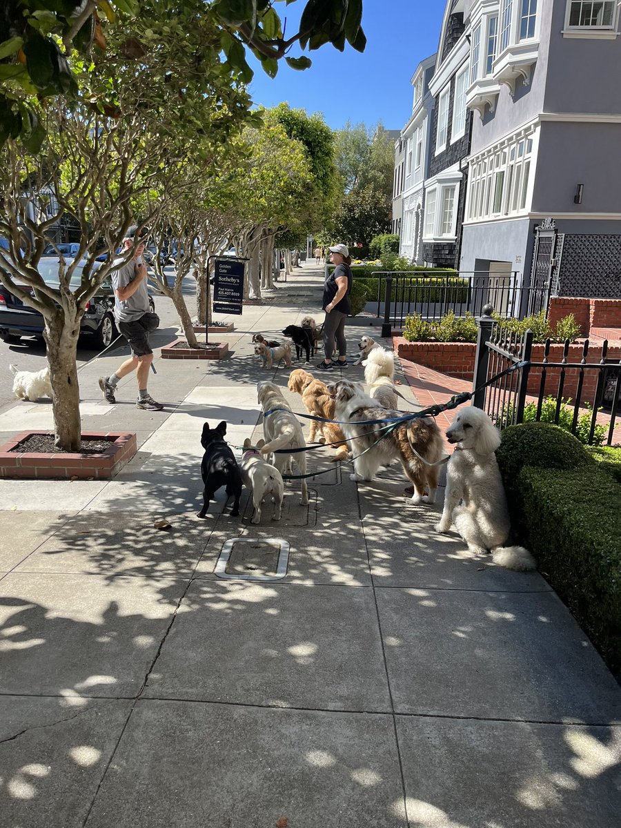 John Carter tweet media