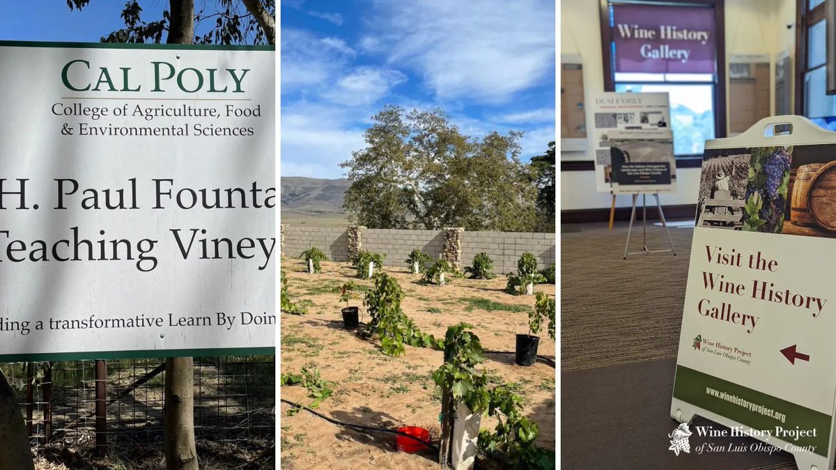 We love collaborating with local organizations to share and preserve San Luis Obispo County wine history! We’ve partnered with <a href="/CalPoly/">Cal Poly</a> - Department of Viticulture, <a href="/DanaAdobe/">Dana Adobe</a>, and the Paso Robles History Museum (to name just a few). #WineHistory #WineCountry #SLOwine #PasoWine