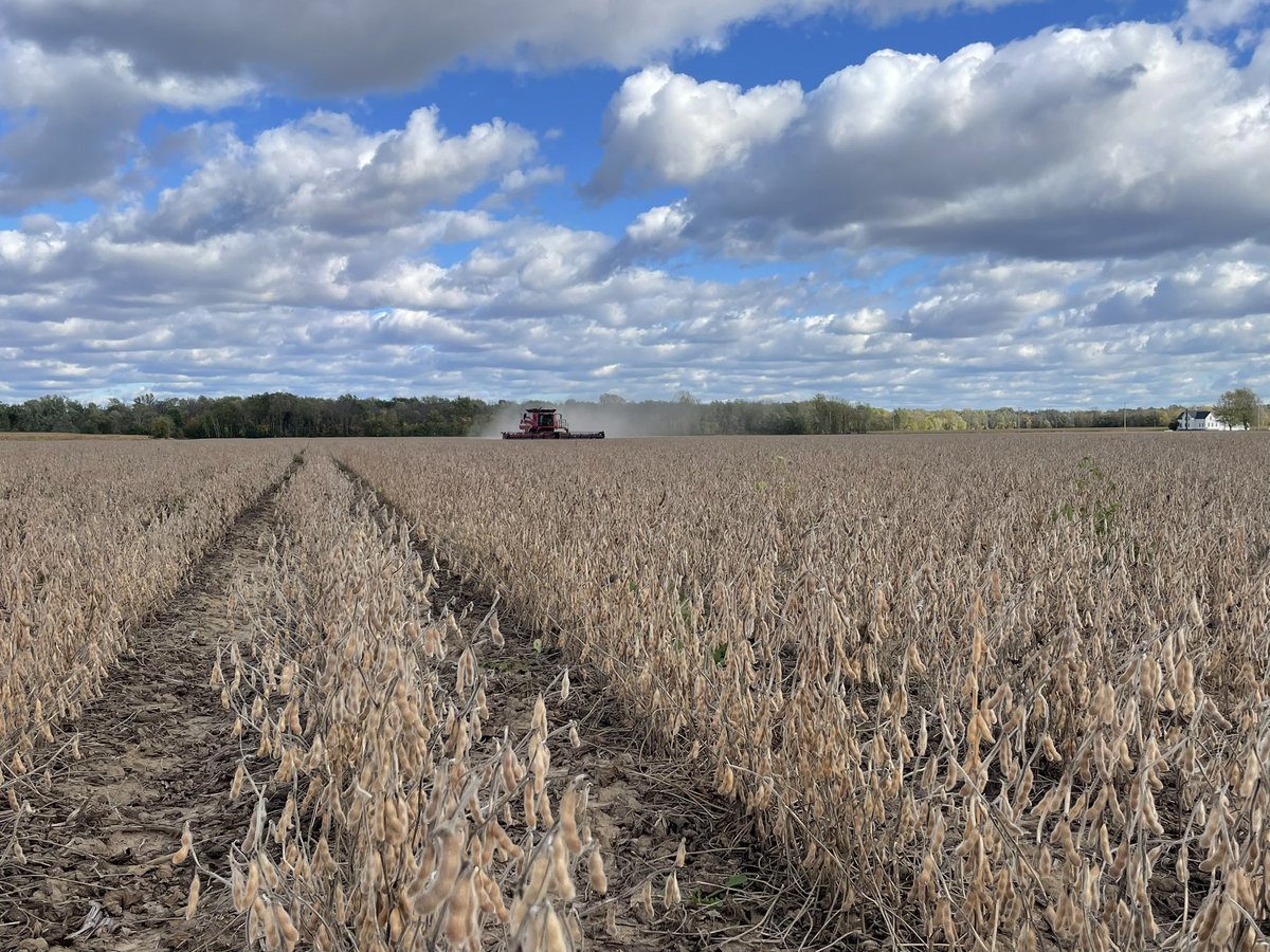 12.8 percent.  
Here we go ! 
#harvest23