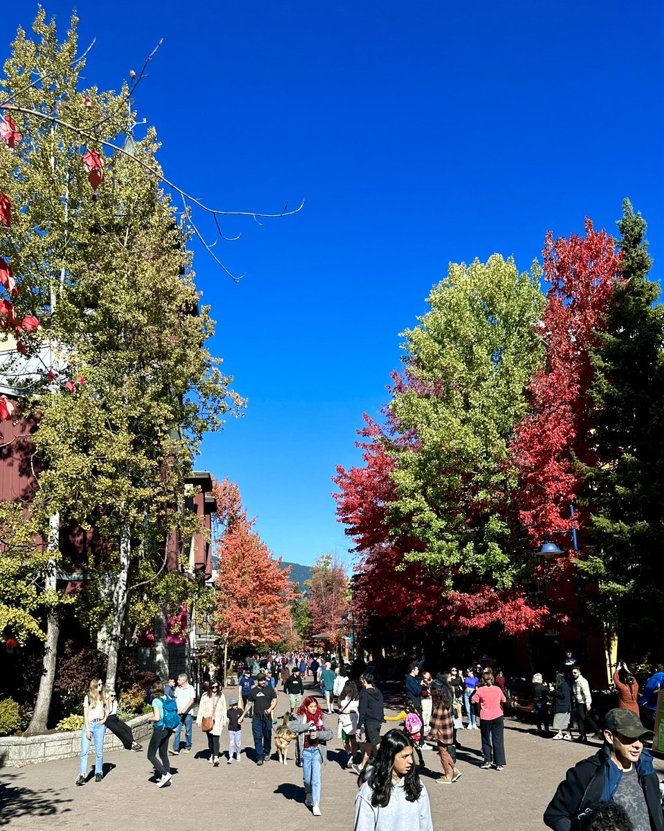 RyanVoutilainen's tweet photo. Apparently I was born to be a television weather presenter… 😂
Is this better? 😉
#Whistler #BC #WhistlerVillage #RMOW #ShareYourWeather #Autumn #FallColours #FallColors #BCwx #BCstorm https://t.co/itpfvKqE4c