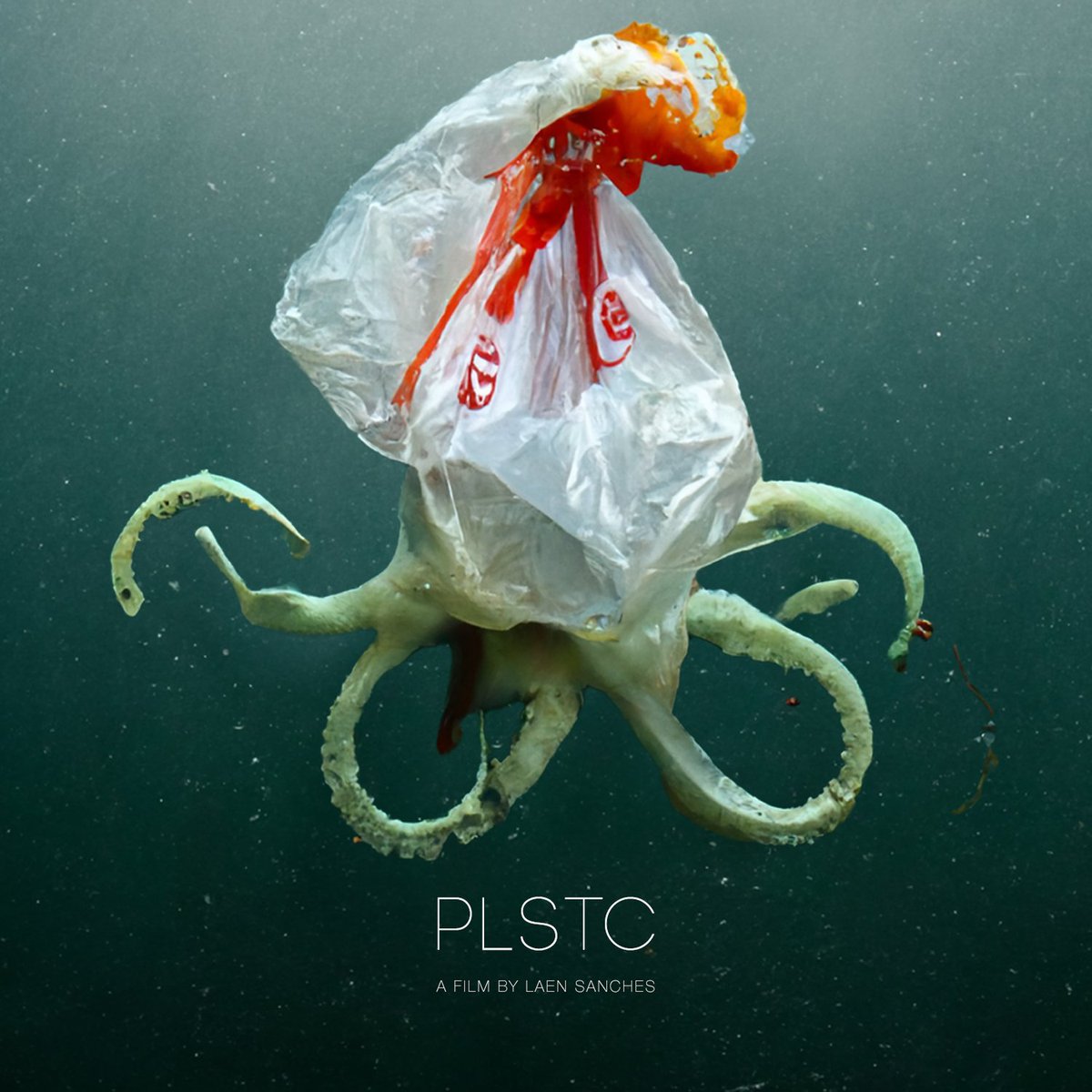 Ganadores #blackcanvasfcc2023
NUEVO HORIZONTE (CORTOMETRAJE)
- Mejor Película: Mast-Del de Maryam Tafakory
- Mención Especial: Plstc de Laen Sanches