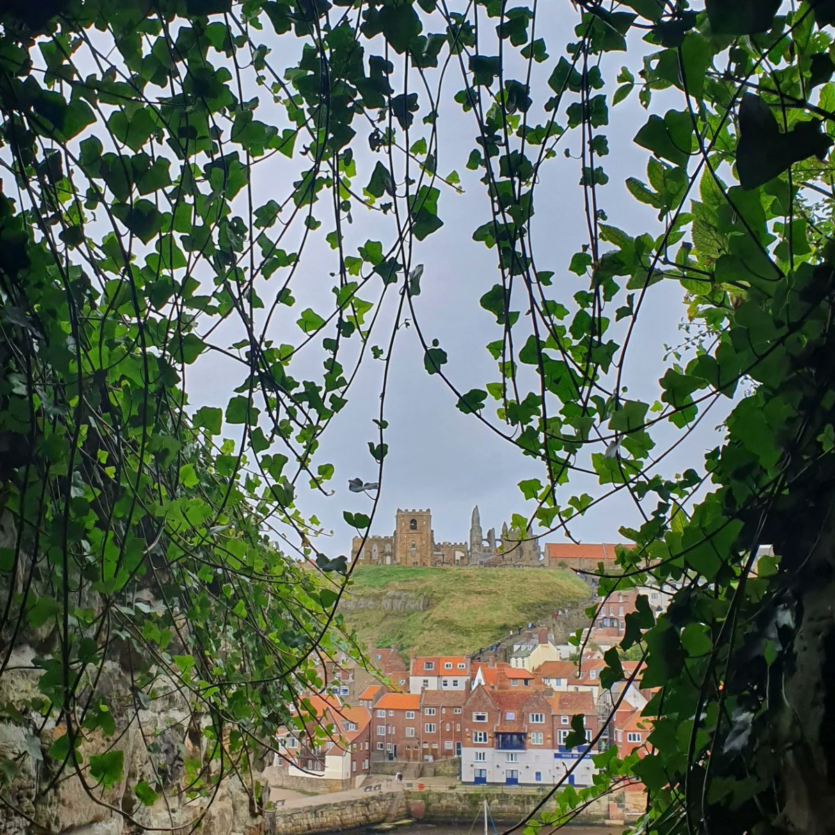 Ali Garb 😊🐞🐛🦋 tweet media