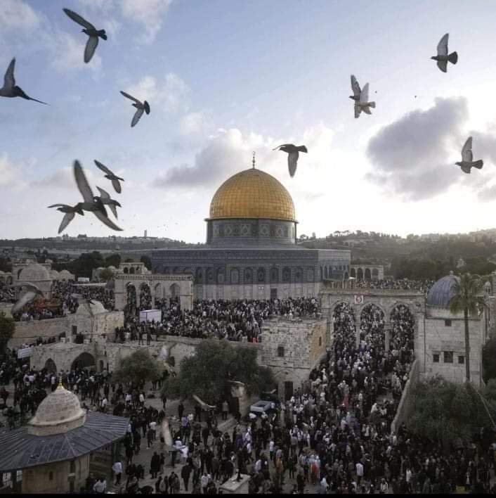 HasnaaNouser's tweet photo. 🇵🇸♥️ https://t.co/w7x11uSgEJ