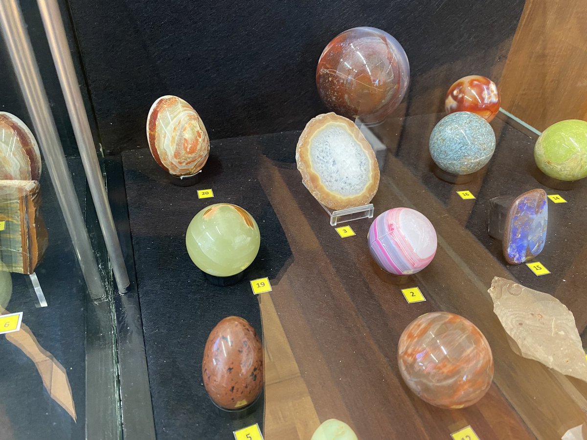 Para ser la Capital Española del Mar no llegaba con el Museo Naval y el Museo de la Construcción Naval, era necesario otro que dedicase espacio a los animales que allí viven. Museo de la Sociedade Galega de Historia Natural, cada día más interesante! <a href="/FerrolOficial/">Concello de Ferrol</a> <a href="/SGHN_Galicia/">SGHN-Sociedade Galega de Historia Natural</a>