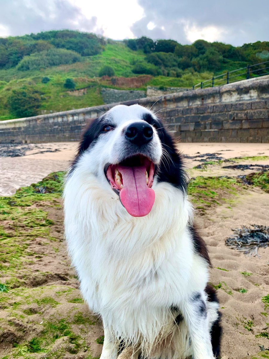 Hi everyone! Dads still poorly but we hope to be back out on adventures soon! In the meantime here’s a smile of love from me to you for all the kind get well messages that you have sent 💚