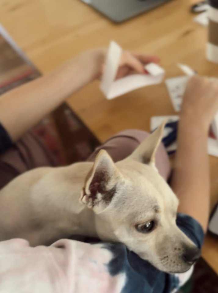 Gift N' Stick tweet media