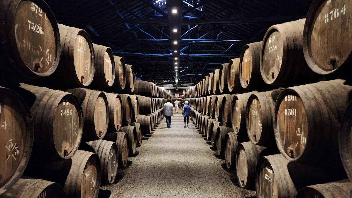 mrubens1's tweet photo. Walking down the rows of barrels of tawny port at Taylor's Port in Porto. It isn't you momma's port. https://t.co/MIWut3CesG
