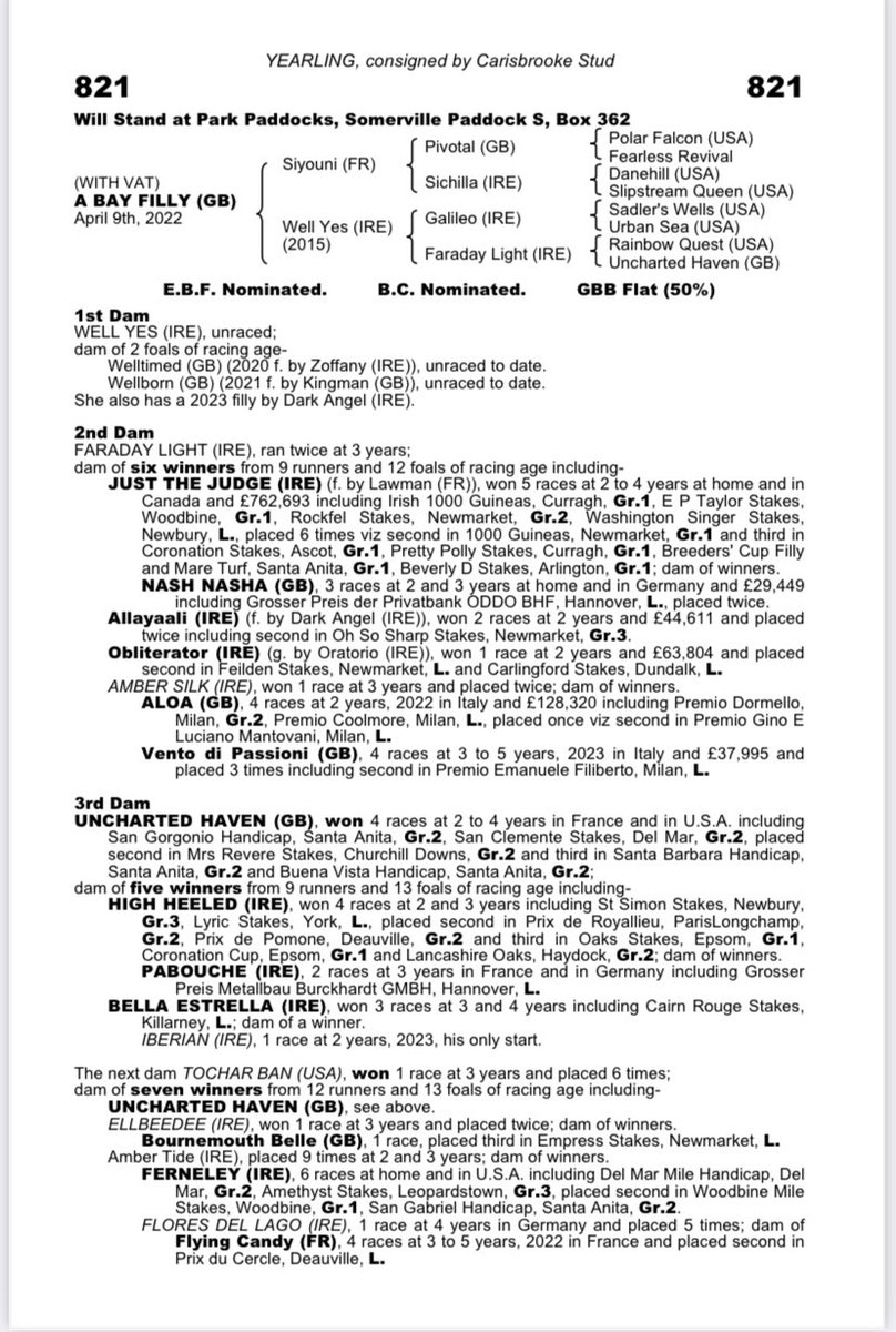 Lot 821 @Tattersalls1766 Book 2 is a stunning filly by @AgaKhanStuds Siyouni ex Well Yes (Galileo) bred on same cross as St Marks Basilica & Sottsass. Her dam is sister to JUST THE JUDGE from family of Uncharted Haven, High Heeled, Boa Estrella & recent Gr2 winner 2yo IBERIAN