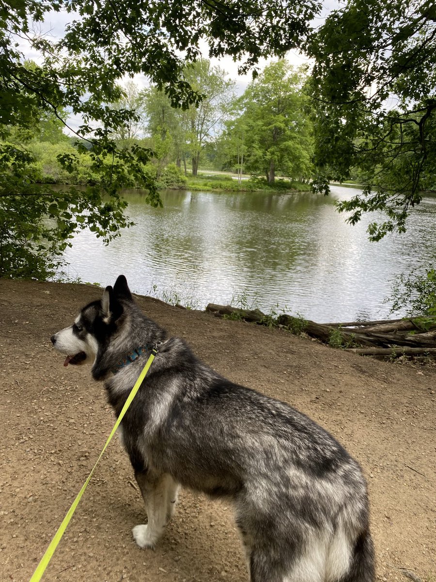 AudaciousFenix tweet media