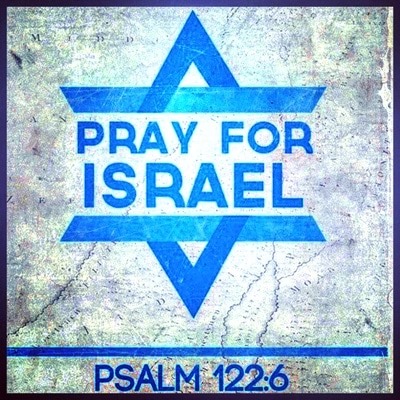 P.W.J. van der Toorn (@pwjvdt) on Twitter photo 