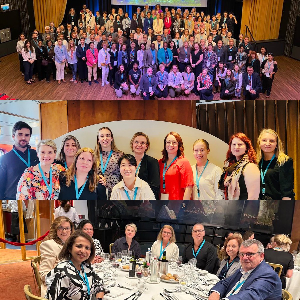 Prof. Terhi T Piltonen MD tweet media