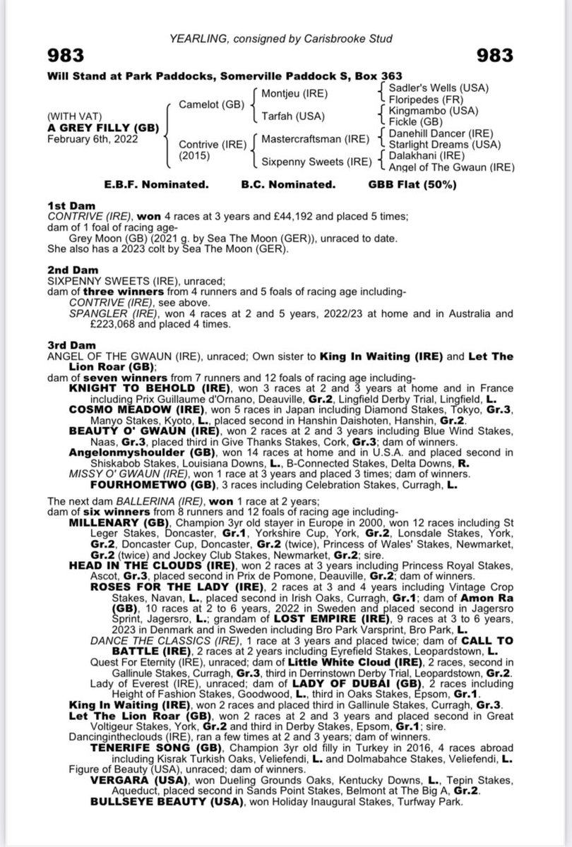 Lot 983 @Tattersalls1766 Book 2 is a classy daughter of @coolmorestud Camelot ex Contrive (Mastercraftsman) a multiple winner rated 94. From the family of Spangler recently Gr3 placed in Australia & also Knight to Behold, Millenary & Roses for the Lady