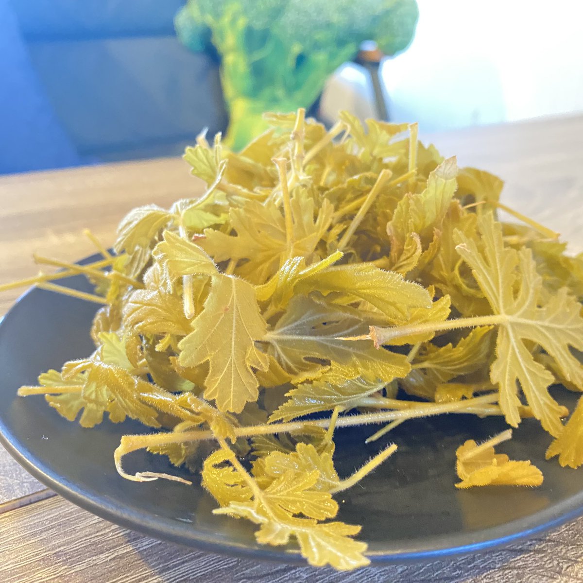 ハーブゼラニウム
チンキにした出がらしは
お皿に乗せてディフューザーに
２日程度のルームフレグランス
#ハーブのある暮らし