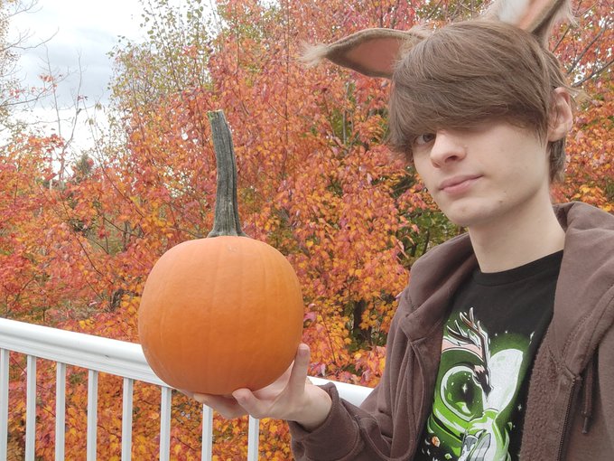 Fall season :3 ~  My backyard looks like a Bob Ross painting 🍂 https://t.co/2Ntt1DVmVc