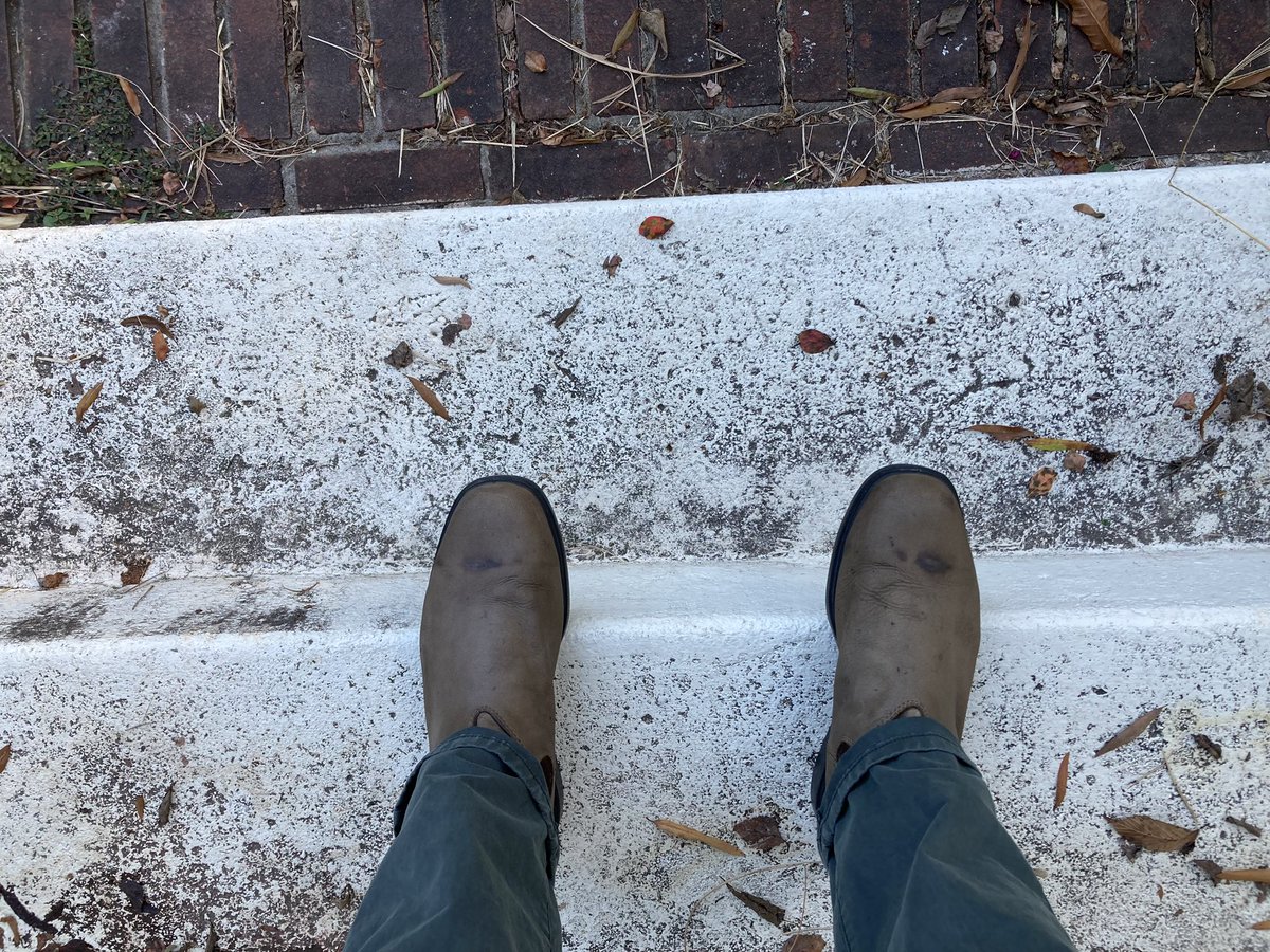 Corey Dunn tweet media