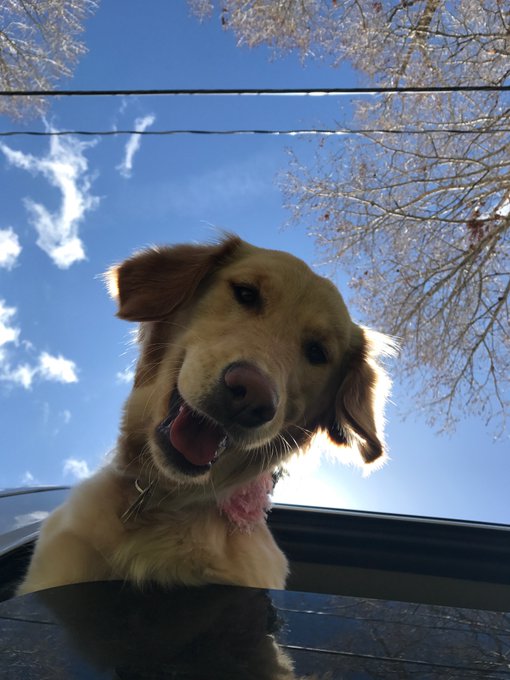 New Blog Post: Another Abby Update  https://t.co/GjXXHN0eV3 https://t.co/wLYrMeV119<a href="/tag/realloyalfans"class="tags"><span>#realloyalfans</span></a>