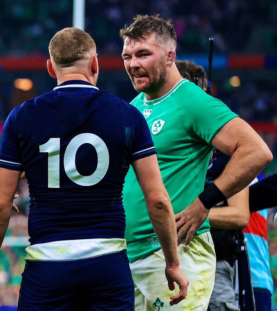 The Great Bonobo tweet media