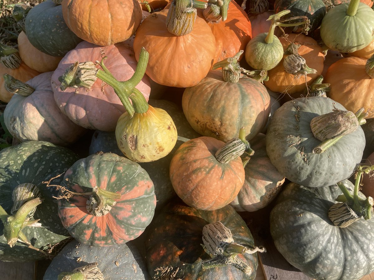 It’s APPLE DAY <a href="/fortyhallfarm/">Forty Hall Farm</a> tomorrow - get yourself down to the Forty Hall Farmers Market Sunday 8th Oct, for all the usual brilliant produce, drinks, hot food and of course loads of APPLES from the Forty Hall Orchard <a href="/EnfieldOrchard/">FortyHallFarmOrchard</a>