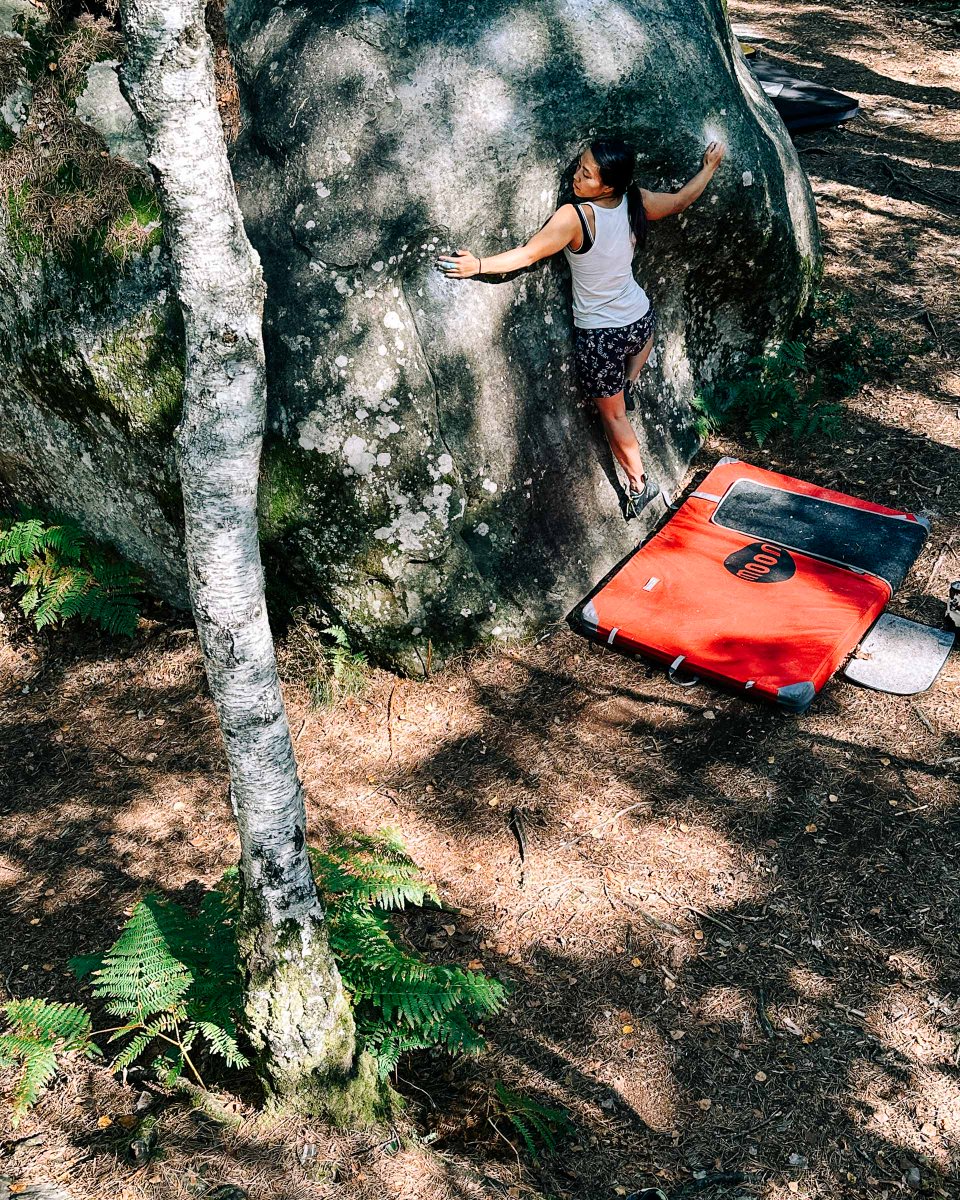 quis's tweet photo. Four photos from the forest: https://t.co/Y2HASKT3Kd https://t.co/3zXuWnAg2g