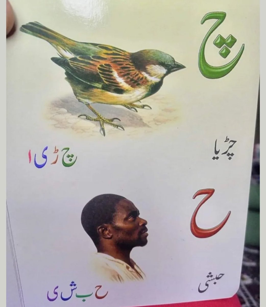 mxcaltrz's tweet photo. Urdu books are on a whole different level 💀 https://t.co/gwwSV7HdBk