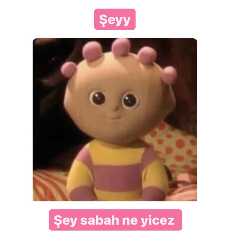 canım ev arkadaşlarım her gece uyumadan önce: