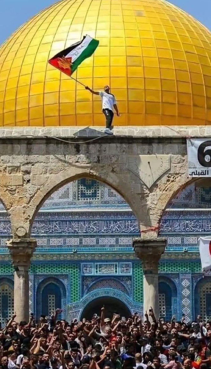 AFahmyOfficial's tweet photo. انا لاهلي  انا افديهم انا دمي فلسطيني ♥️ https://t.co/m9R2wBPZ0R