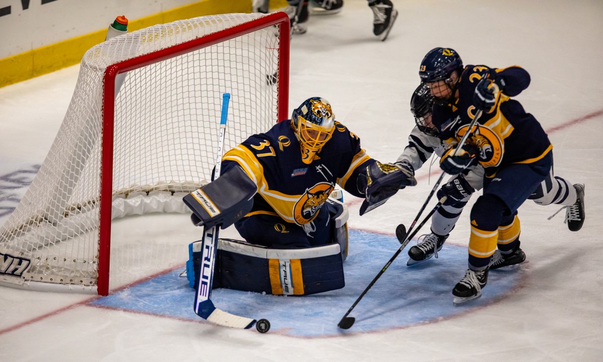 Off Ice Training for Hockey Goalies - NASM