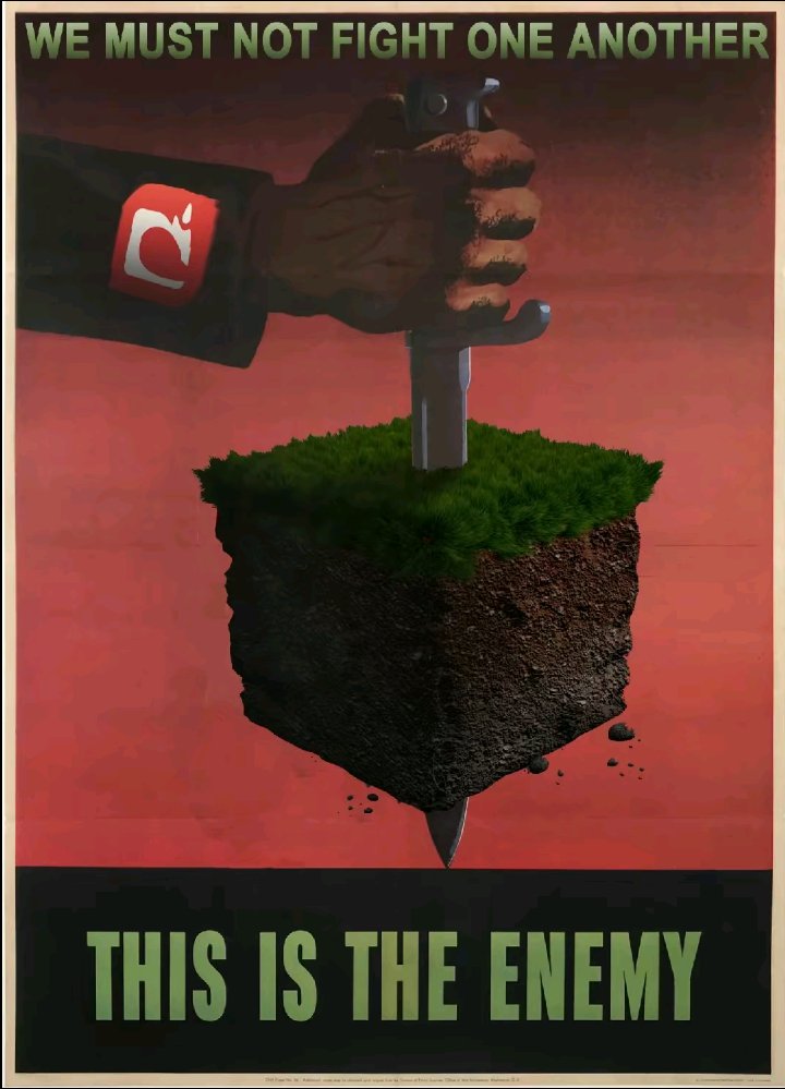 AdolfoHithler's tweet photo. Acabemos con esto ya. #StopTheMobVote https://t.co/VLBI2EFSAu