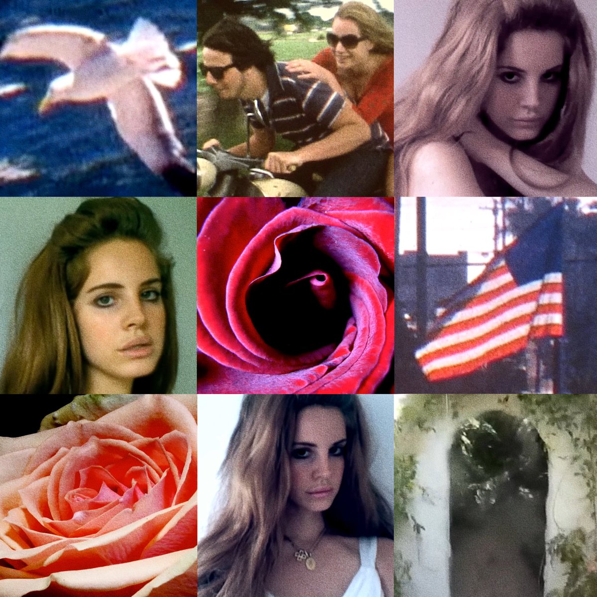 Lana Core tweet media