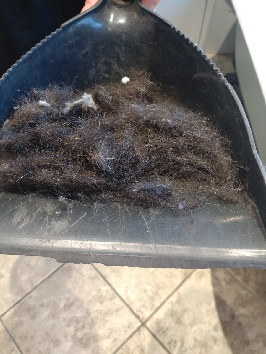 Paul Heaton tweet media