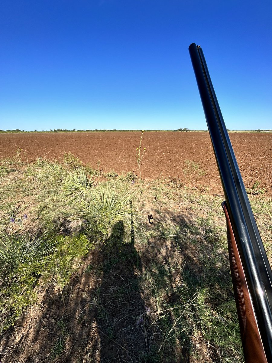 EvanAutry's tweet photo. It’s good to be home. #colemantx #bigcountry https://t.co/dhIVRNLHoJ