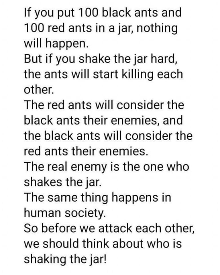 DavidWolfe's tweet photo. https://t.co/tLgh9LihcY