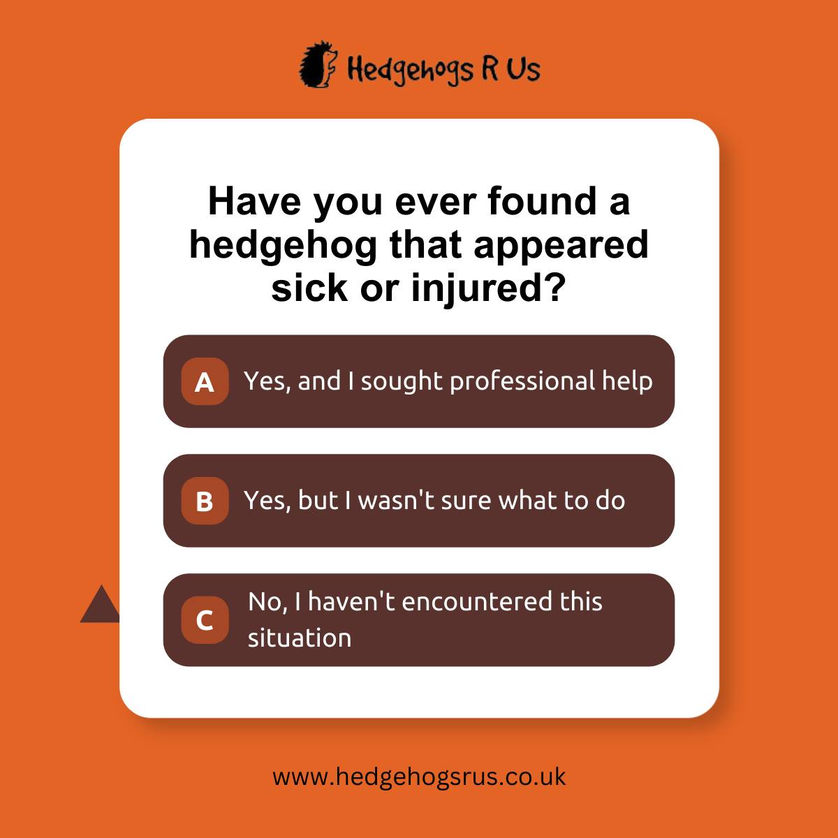 Hedgehogs R Us tweet media