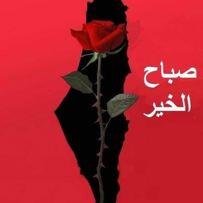 عاشت فلسطين لا والف لا للتطبيع مع الكيان الغاصب