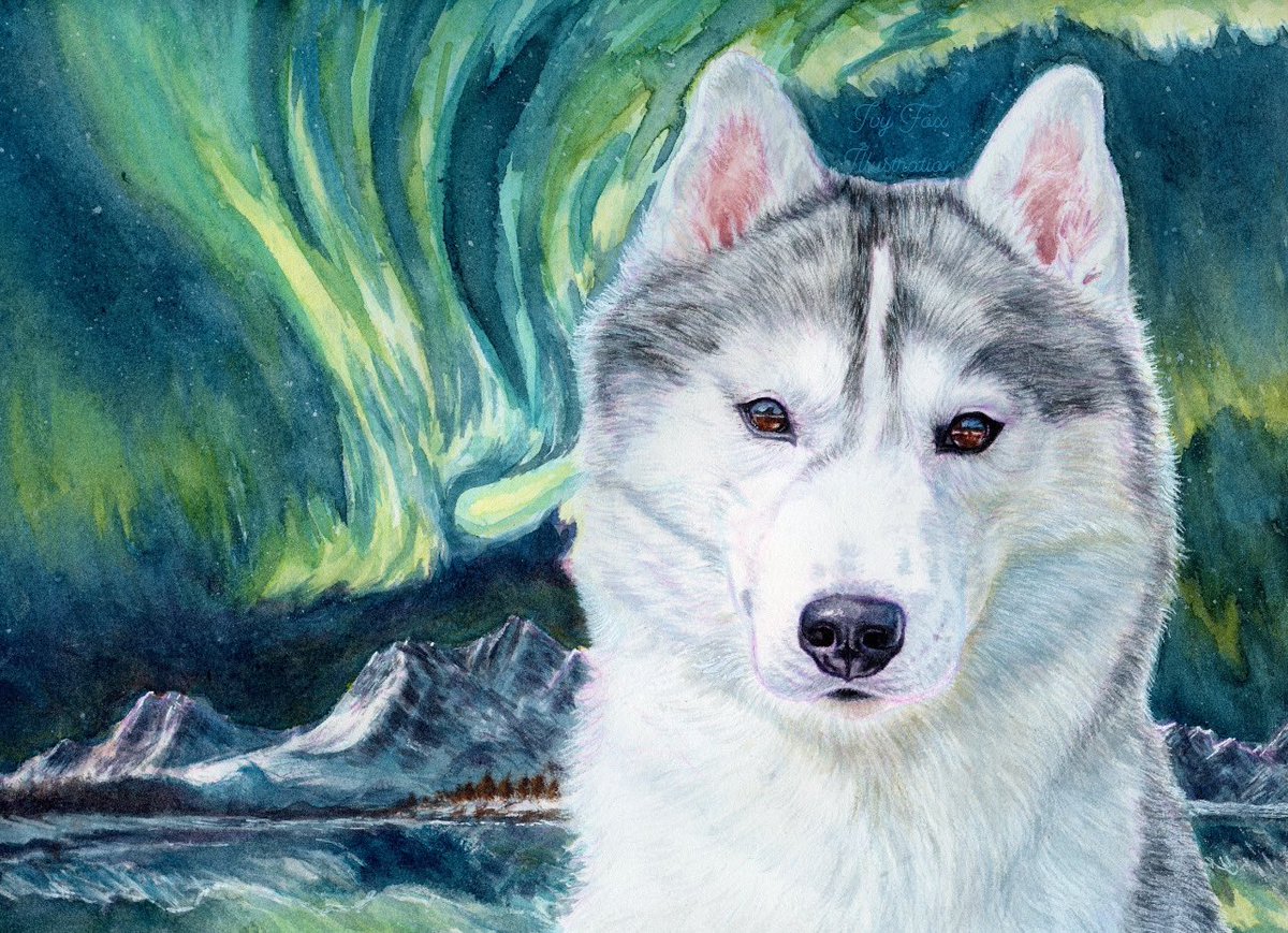 I just finished painting a pet portrait of this gorgeous Siberian Husky in front of the Northern Lights!

Want to see your pet painted in my style? Let me know!