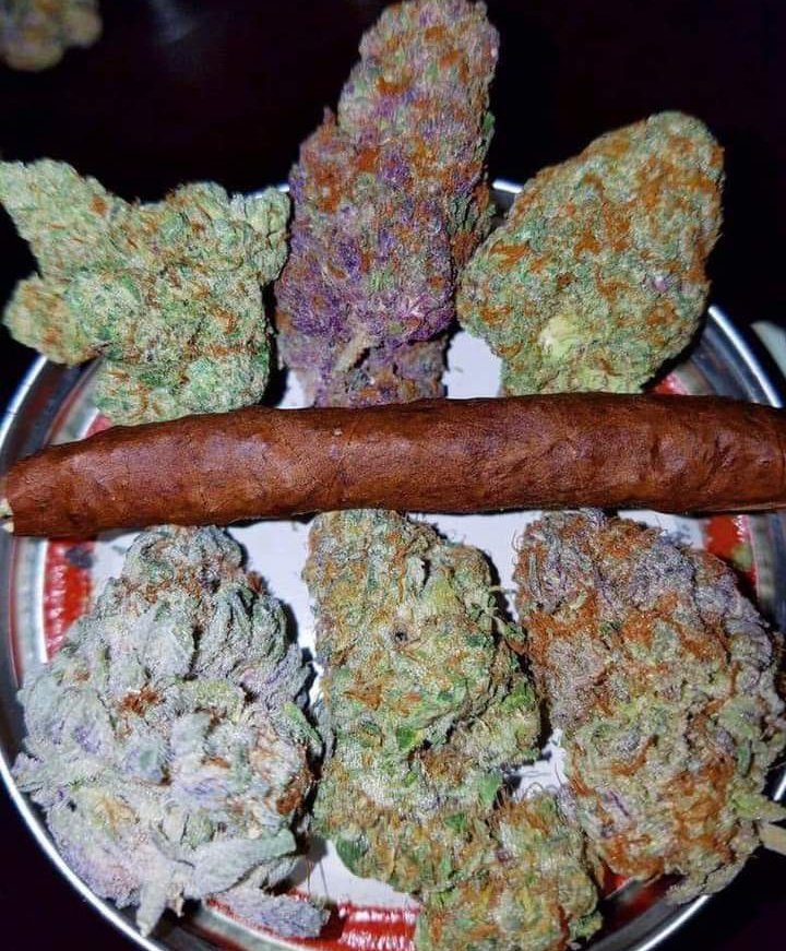 Fernand49034227's tweet photo. " It will surely be a good Saturday ." 🤤
📸:420shotz https://t.co/IW3D9f3Aff