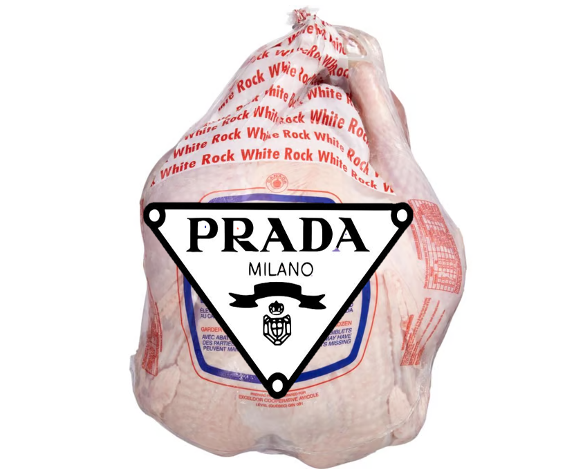 mynamesnotgordy's tweet photo. Finally tracked down one of those fancy Conservative turkeys. https://t.co/gA8LrQImvG