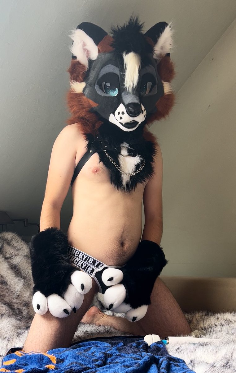 I made an only fans account 🙈

onlyfans.com/jekyllfox