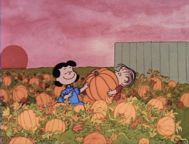 dreamyyarchive's tweet photo. 🎃 🕸️ 🪄 https://t.co/32GETCaWvH