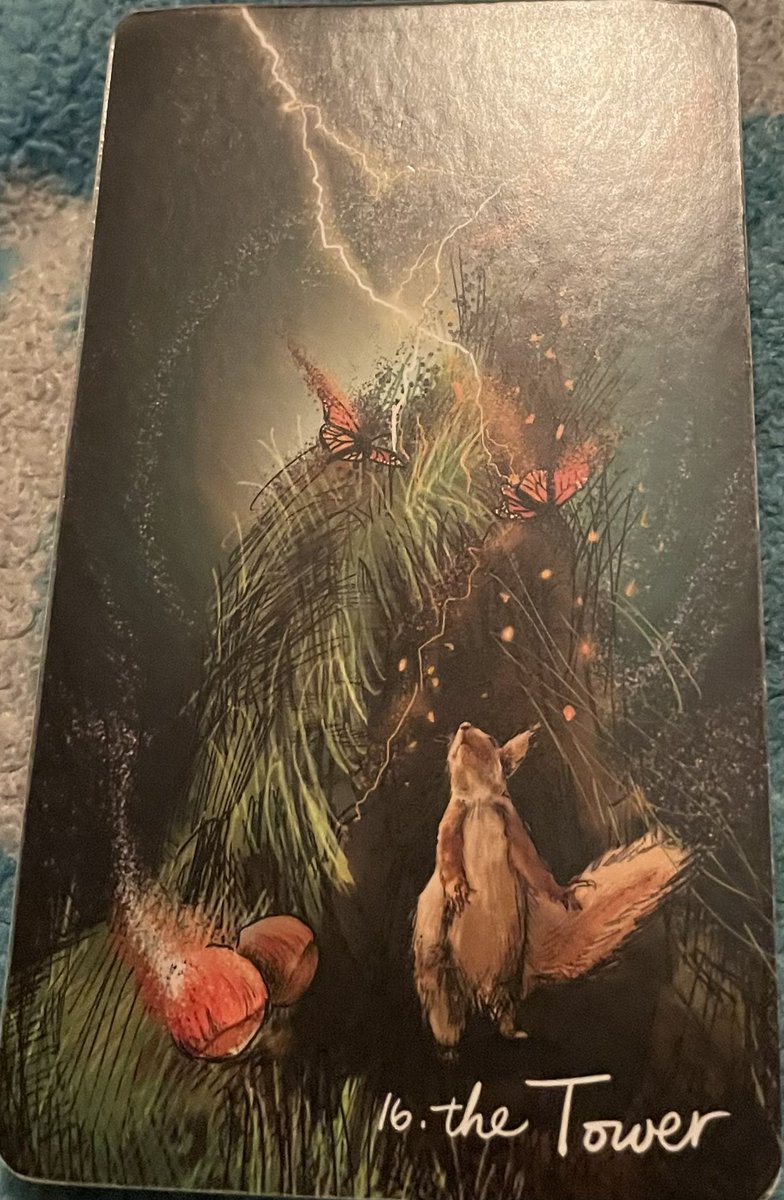 pember_emily's tweet image. Who sent the flower this morning/made sure I saw it outside my door and picked it up? What is the message?

#temperance #pageofcups #3ofpentacles #threeofpentacles #kingofcups #2ofcups #twoofcups #8ofswords #eightofswords #thestar #thehermit