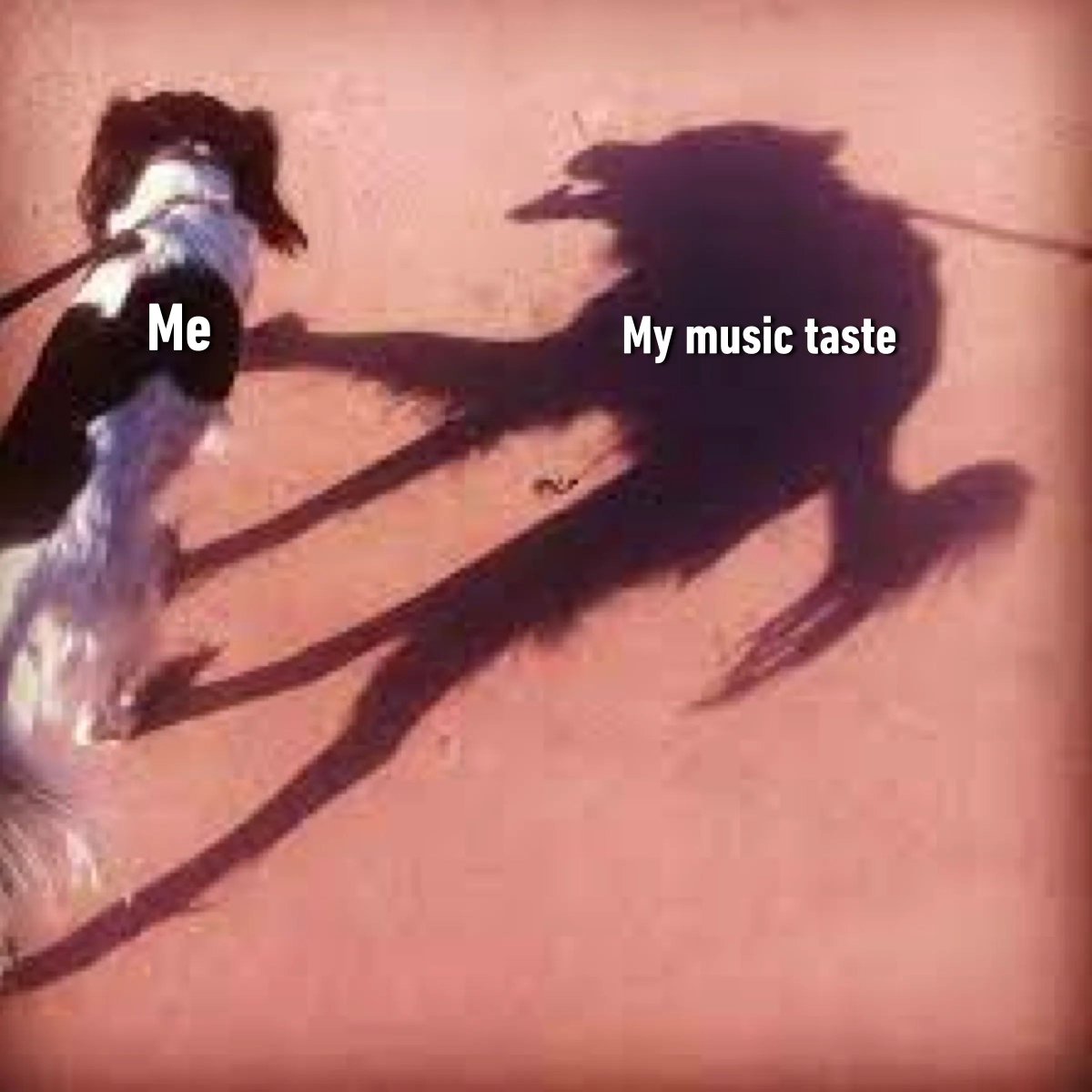 9GAG's tweet photo. 🤘 https://t.co/11ybVdObss